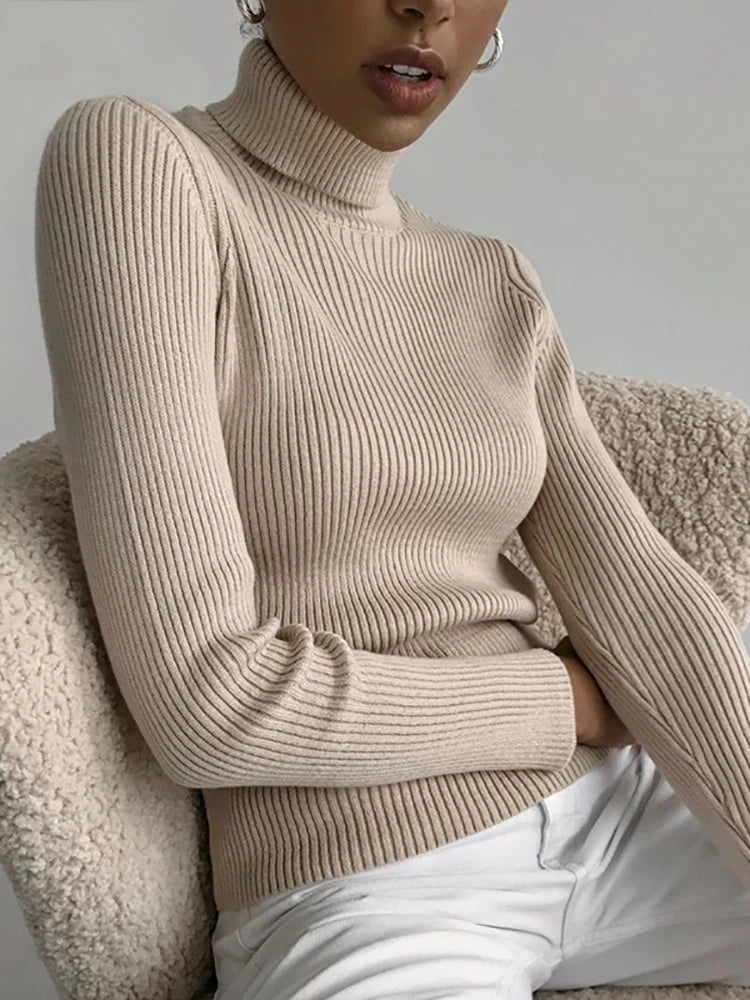 Women Fall Turtleneck Sweater (FREE SHIPPING)