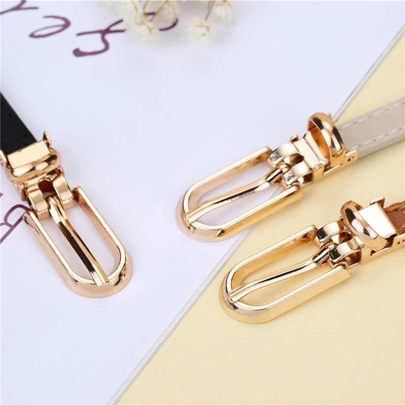 Thin Waistband Pin Buckle Adjustable Belt (FREE SHIPPING)