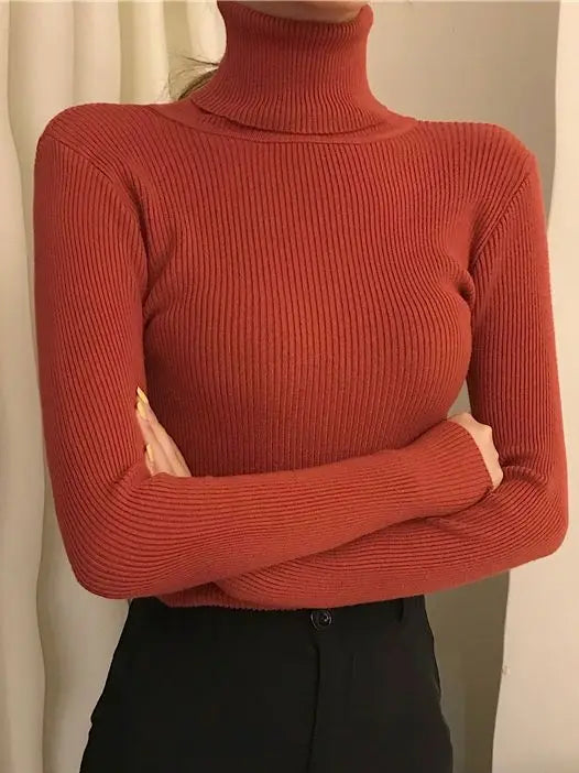 Women Fall Turtleneck Sweater (FREE SHIPPING)