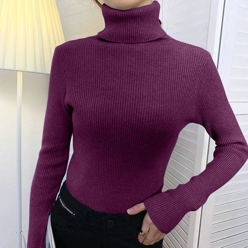 Women Fall Turtleneck Sweater (FREE SHIPPING)